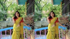 Desi Girl Chick Doggy Style Fucking
